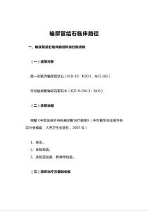 输尿管结石临床路径