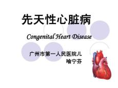 房间隔缺损、室间隔缺损