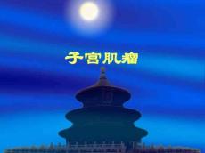子宫肌瘤12181