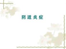 阴道炎及淋病