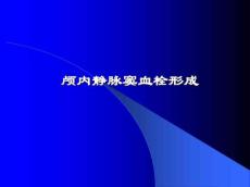 颅内静脉窦血栓形成-影像学