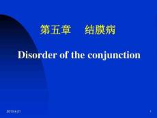 结膜、角膜、巩膜病