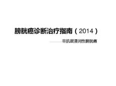 膀胱癌诊疗指南