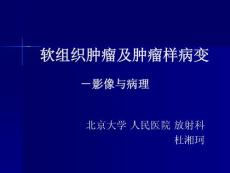 软组织肿瘤及肿瘤样病变杜湘珂