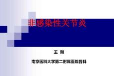 非感染性关节炎-骨关节炎(王刚