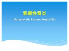 紫癜性肾炎PPT课件