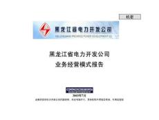 黑龍江省電力開發公司業務經 營模式報 告