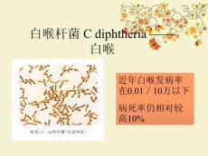 白喉杆菌Cdiphtheria白喉