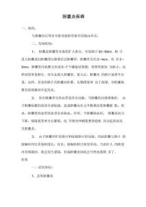 胆囊炎疾病
