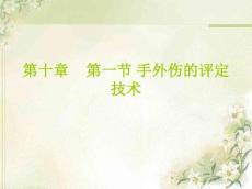 手外伤评定技术