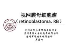 视网膜神经母细胞瘤教学版
