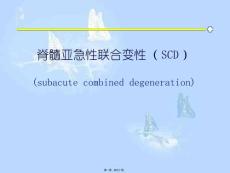 脊髓亚急性联合变性课件