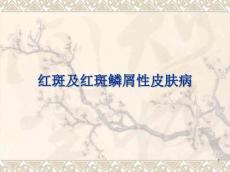 红斑及红斑鳞屑性皮肤病PPT课件