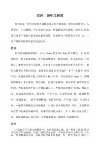 综述——破伤风