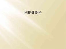 胫腓骨骨折