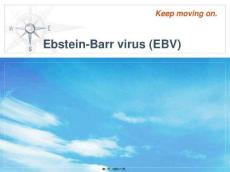 EBV及传染性单核细胞增多症
