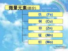 微量元素—铁