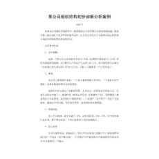 某公司组织结构初步诊断分析案例