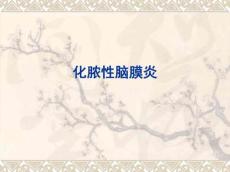 化脓性脑膜炎课件