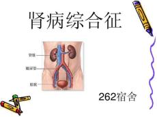 小儿肾病综合征24391