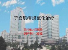 子宫肌瘤10664