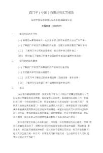 西門子（中國）有限公司實習報告