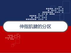 伸指肌腱的分区PPT