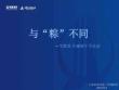 艾维尼端午节活动方案