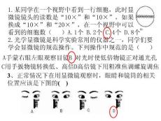 初中生物课件之细胞