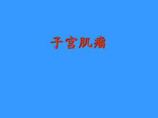 子宫肌瘤10695