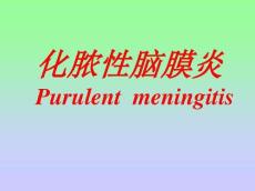 化脓性脑膜炎12465
