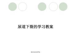 尿道下裂的学习教案