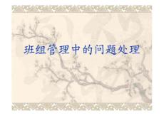班組管理中的問題處理---培訓課件