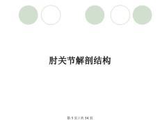 肘关节解剖结构