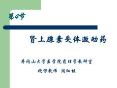 第4节  肾上腺素受体激动药 药理学课件—井冈山大学医学院