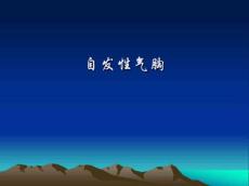 自发性气胸课件