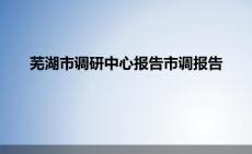 蕪湖市調研中心報告市調報告