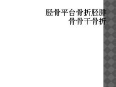 胫骨平台骨折胫腓骨骨干骨折