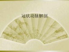 冠状动脉解剖