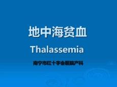地中海贫血14376