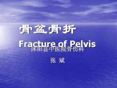 骨盆骨折23210