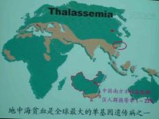 地中海贫血14384