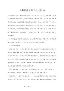 甘薯黑痣病的发生与防治