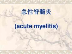 急性脊髓炎4574