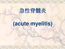 急性脊髓炎