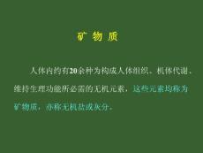 营养学基础-矿物质