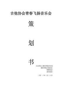 吉他協(xié)會青春飛揚音樂會策劃書