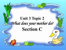 七年级英语上册 Unit 3 Topic 2 What does your mother do Section C