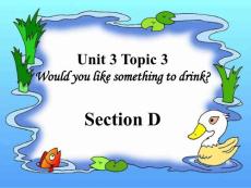 七年级英语上册 Unit 3 Topic 3 Would you like something to drink Section D
