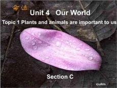 八年级(上)英语 Unit 4 Our World Topic 1 Section C